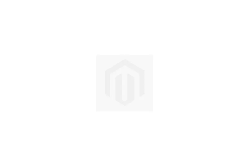 Morbidelli T352X (2026)