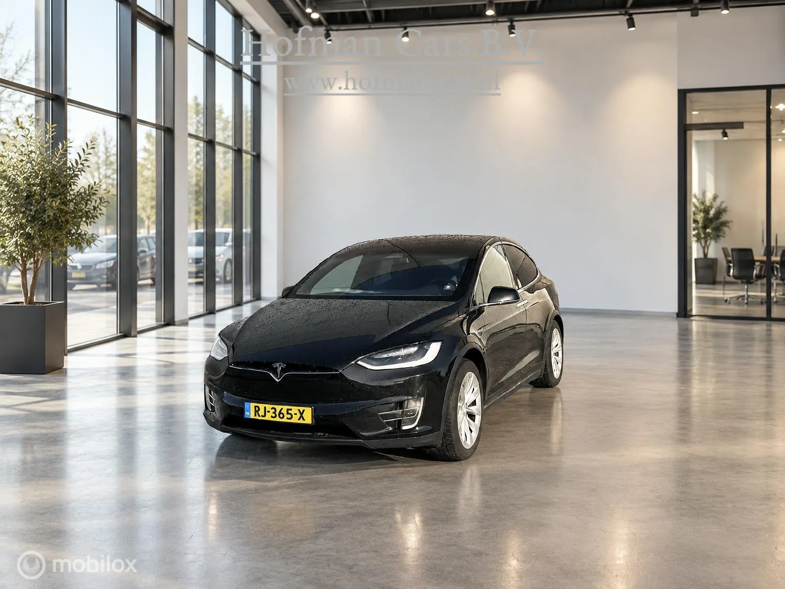 Tesla Model X (2017) — foto 1