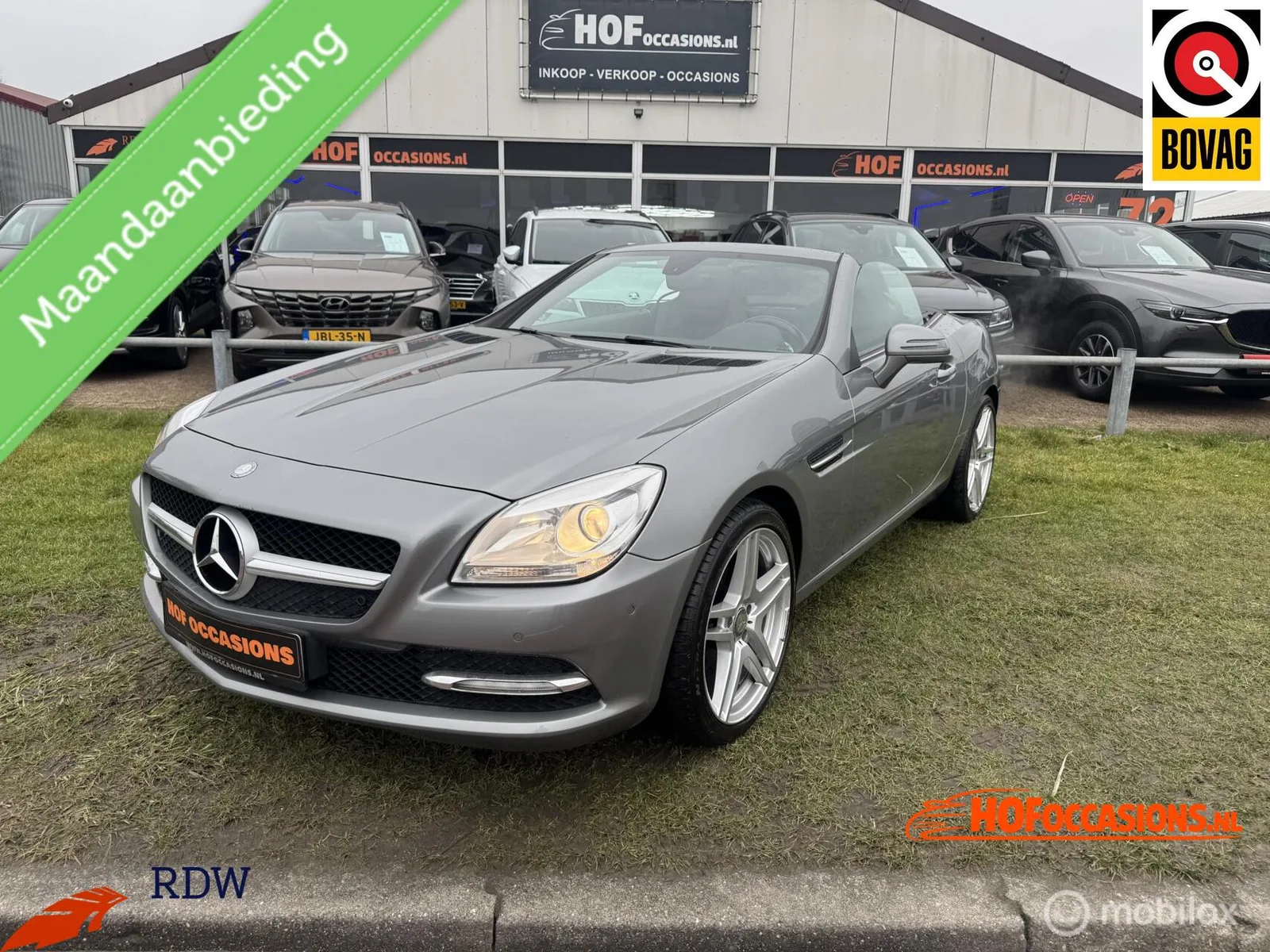 Mercedes-Benz SLK-Klasse (2011) — foto 1