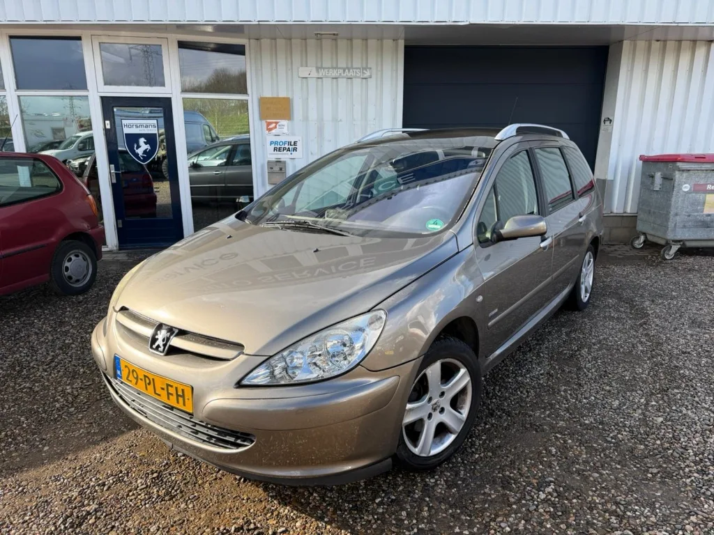 Peugeot 307 (2004) — foto 1