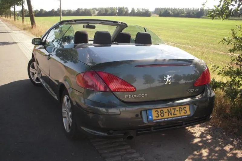 Peugeot 307 (2004)