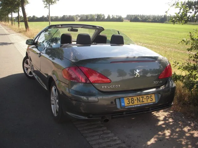 Peugeot 307 (2004) — foto 1