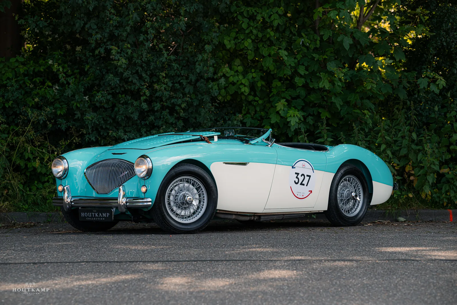 Austin Healey (1956) — foto 1