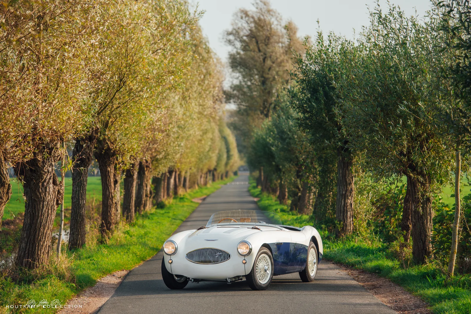 Austin Healey (1955) — foto 1