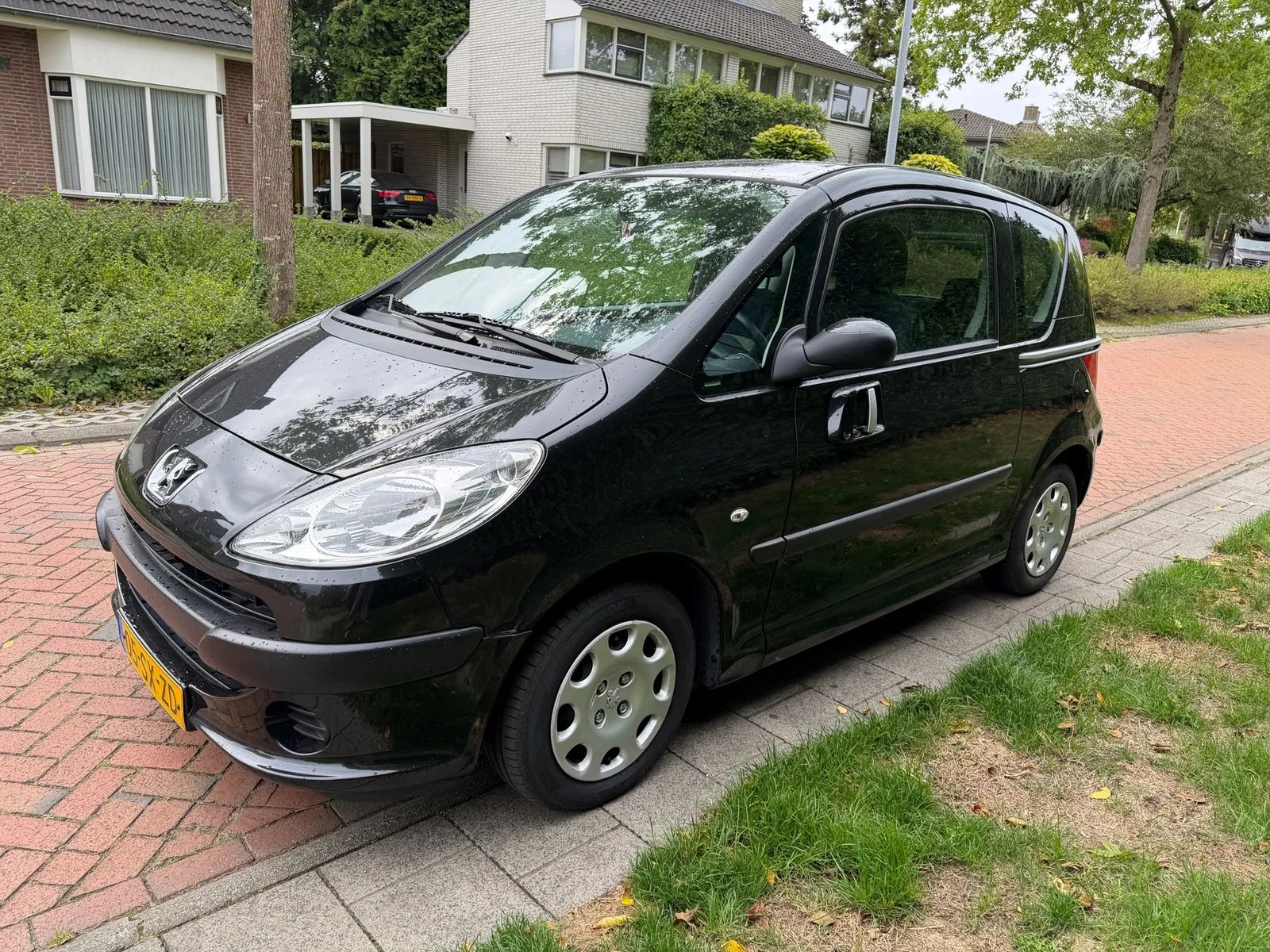 Peugeot 1007 (2006) — foto 1