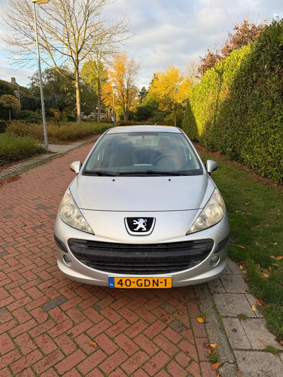 Peugeot 207 (2008) — foto 1