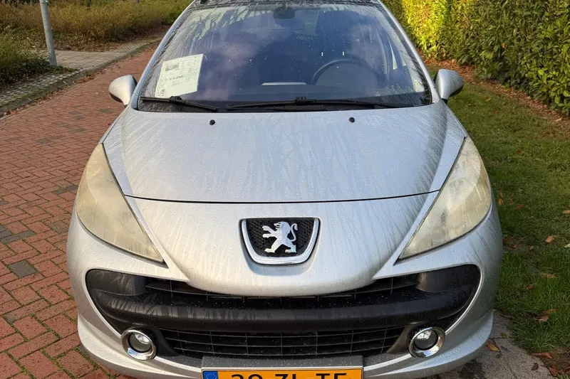 Peugeot 207 (2008)