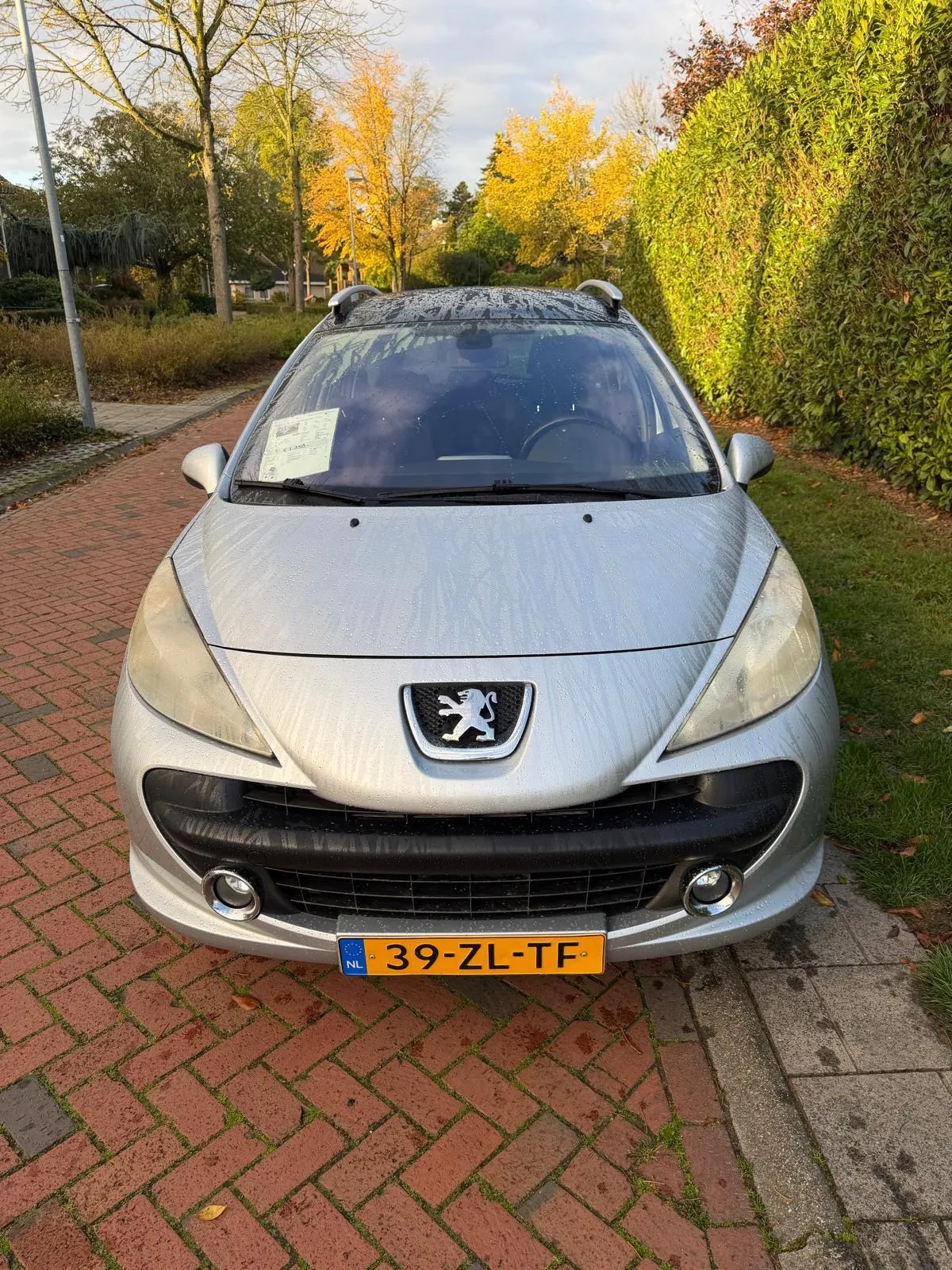 Peugeot 207 (2008) — foto 1