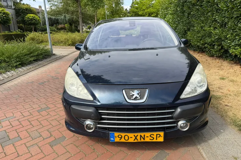 Peugeot 307 (2007)