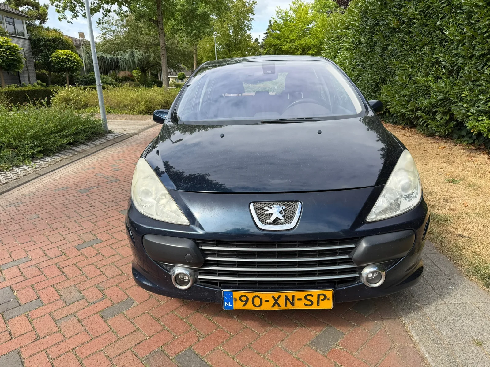 Peugeot 307 (2007) — foto 1