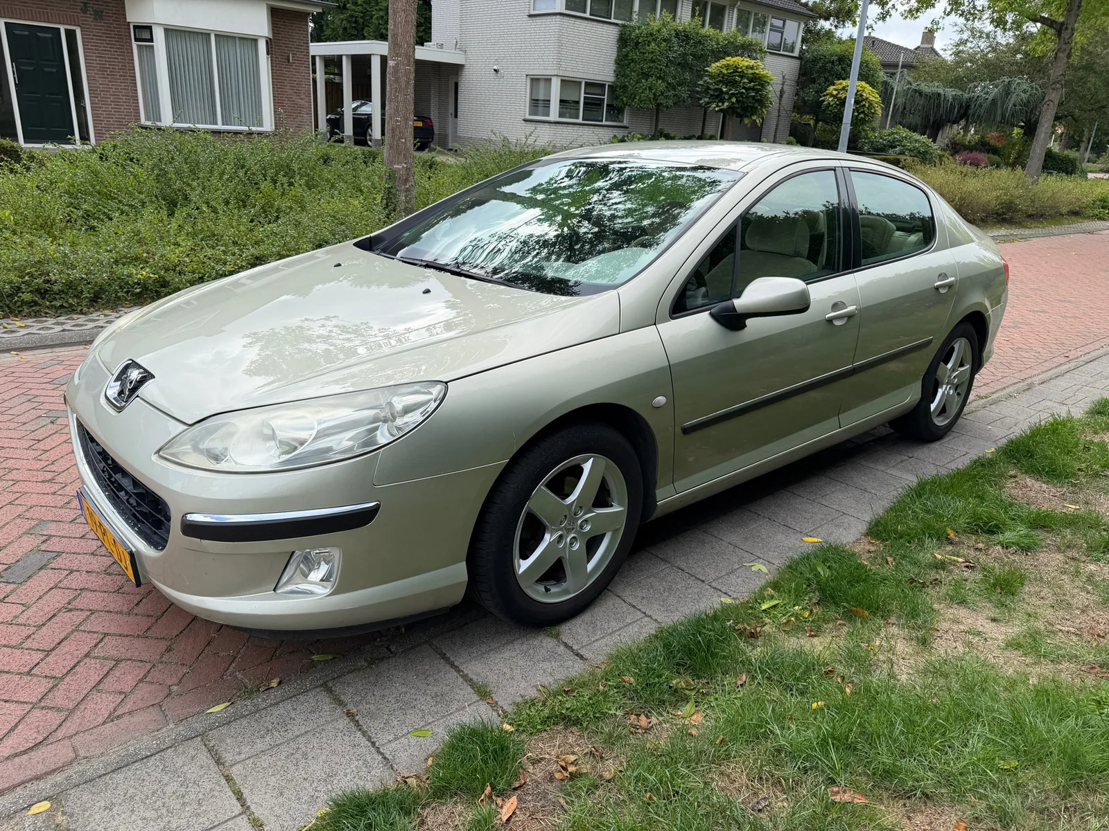 Peugeot 407 (2004) — foto 1