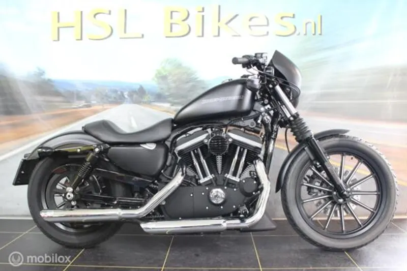 Harley-Davidson Sportster 883N (2010)