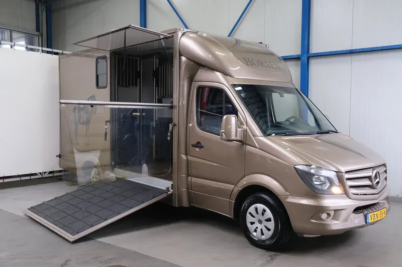 Mercedes-Benz Sprinter (2014)