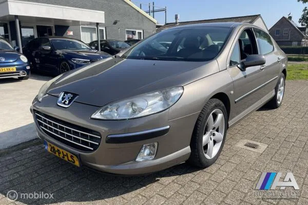 Peugeot 407 (2004) — foto 1