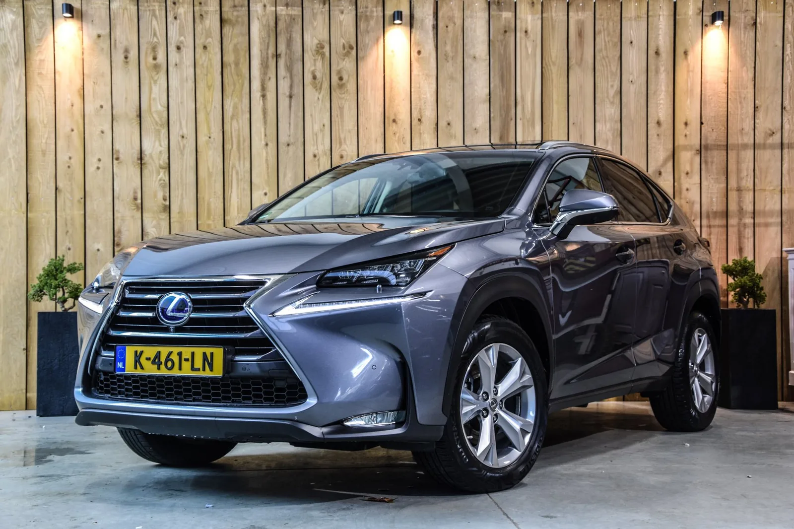 Lexus NX (2016) — foto 1