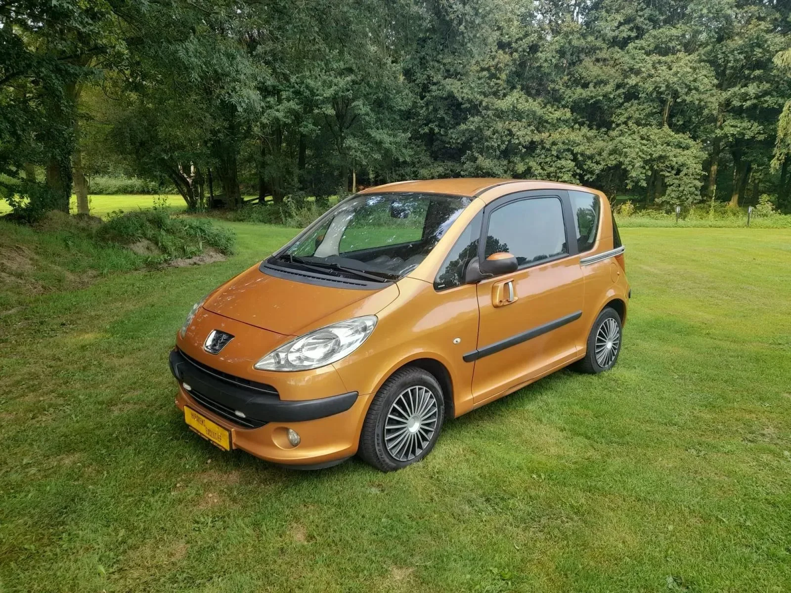 Peugeot 1007 (2007) — foto 1