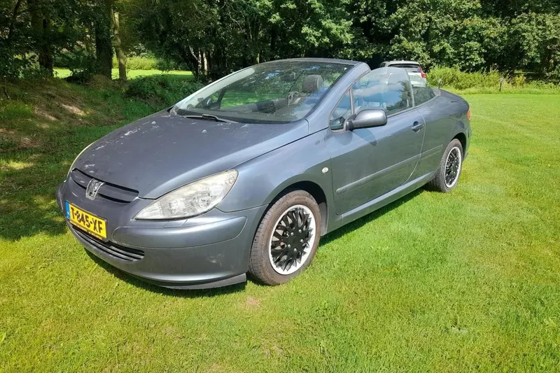 Peugeot 307 (2004)