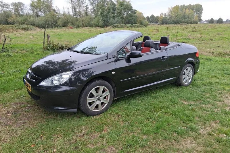 Peugeot 307 (2004)