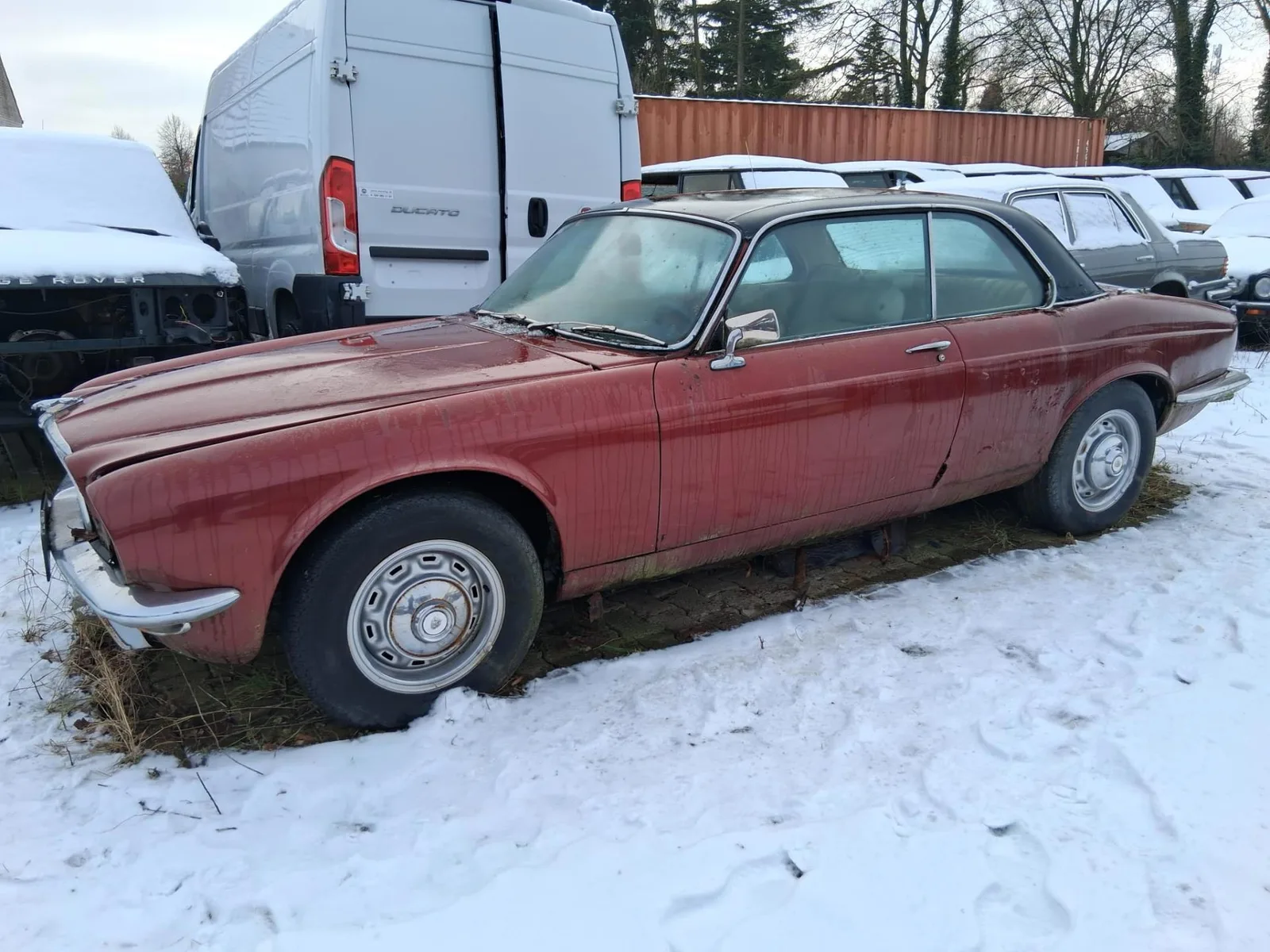 Jaguar XJ (1981) — foto 1