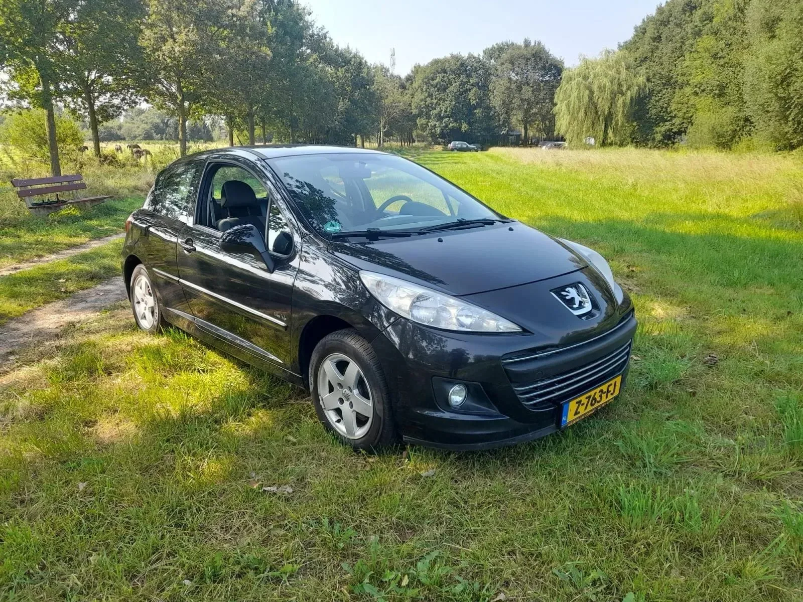 Peugeot 207 (2011) — foto 1