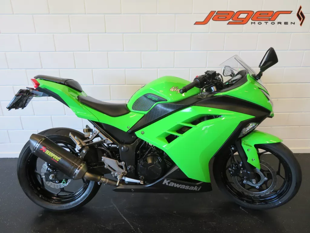 Kawasaki Ninja 300 (2016) — foto 1