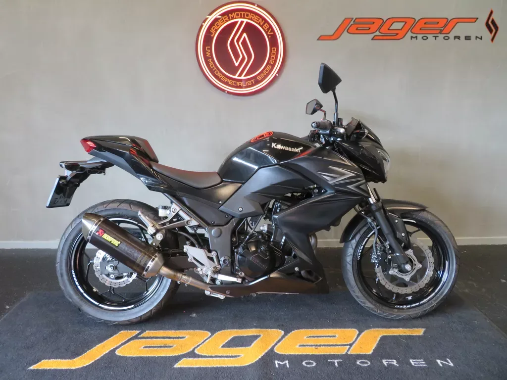 Kawasaki Z300 (2016) — foto 1