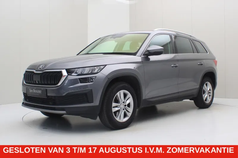Škoda Skoda Kodiaq 1 5 (2022)
