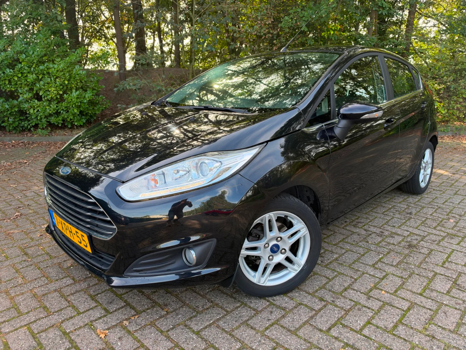 Ford Fiesta (2014) — foto 1
