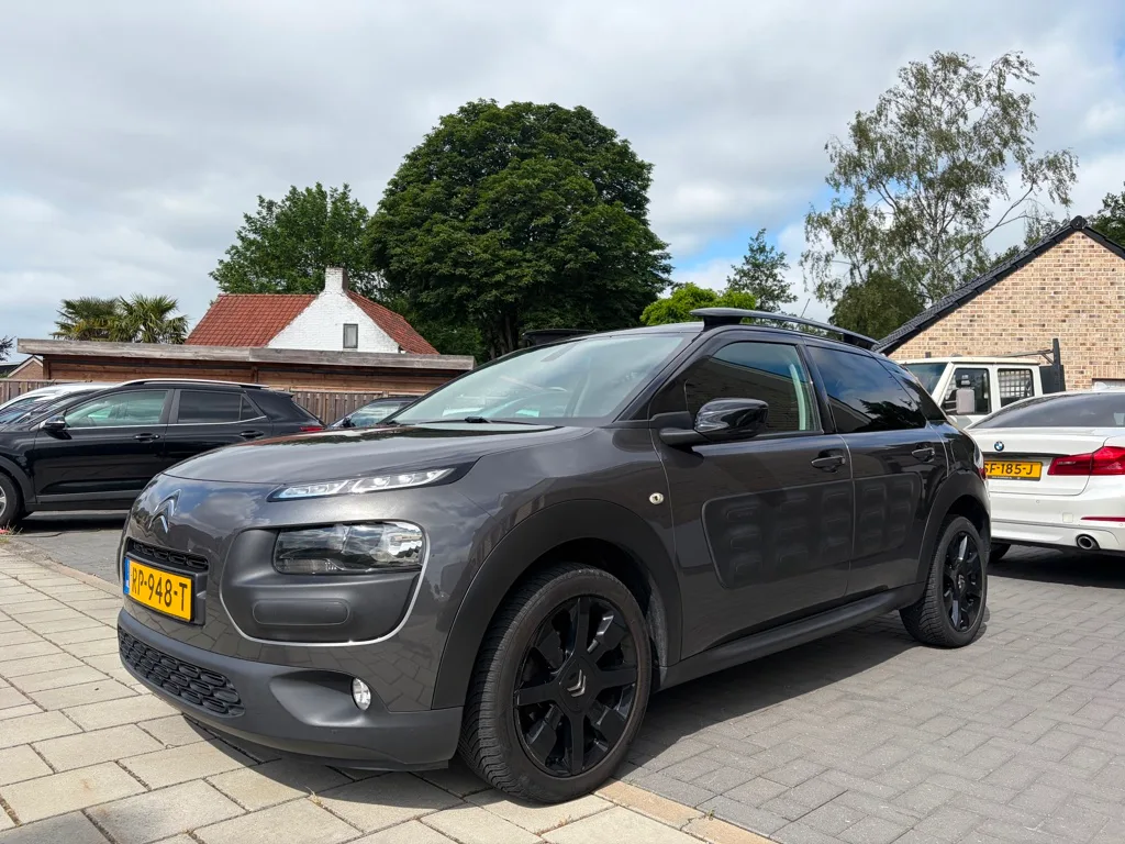 Citroën C4 Cactus (2018) — foto 1