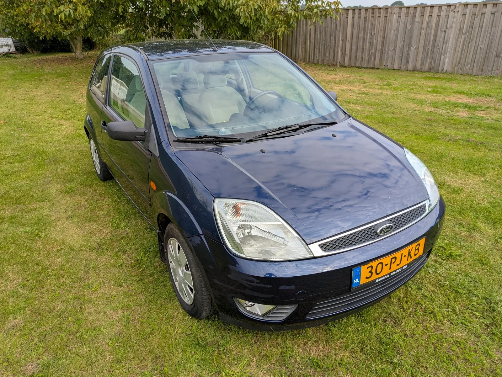 Ford Fiesta (2004) — foto 1
