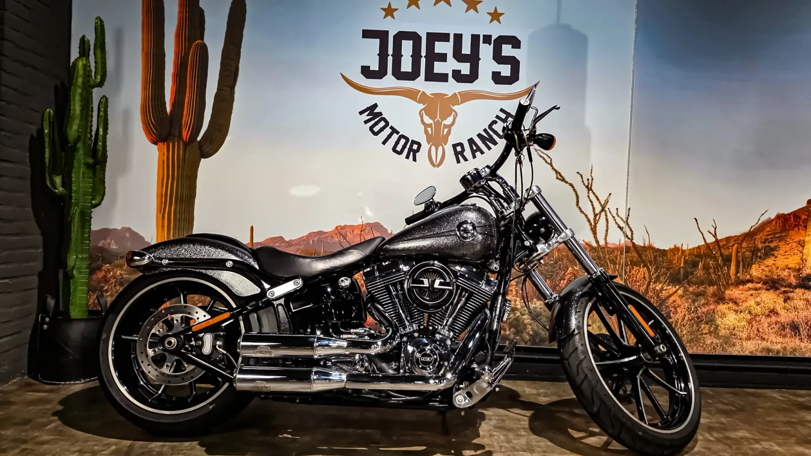 Harley-Davidson Softail (2013) — foto 1