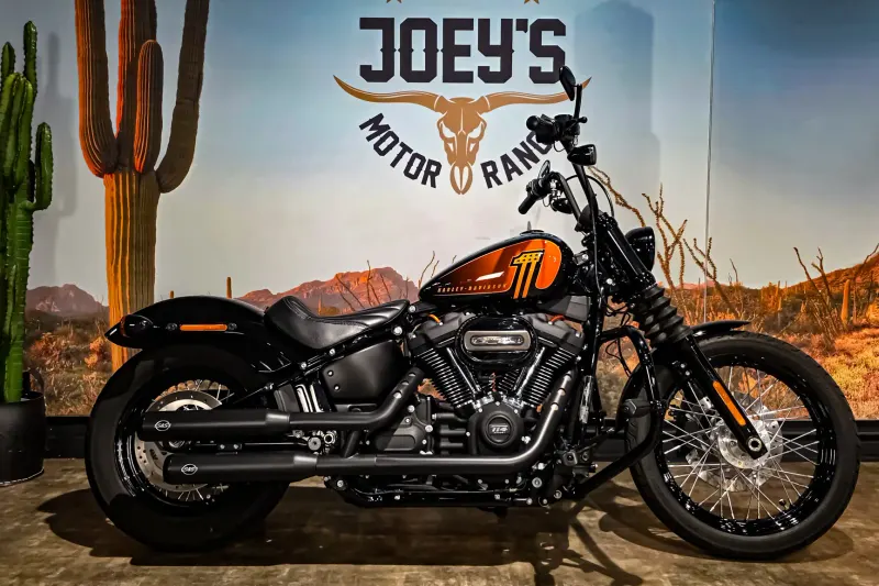 Harley-Davidson Softail (2021)