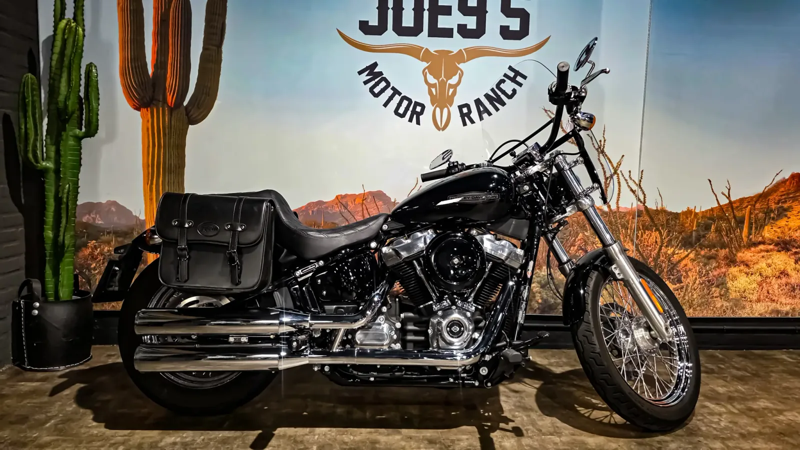 Harley-Davidson Softail Standard (2021) — foto 1