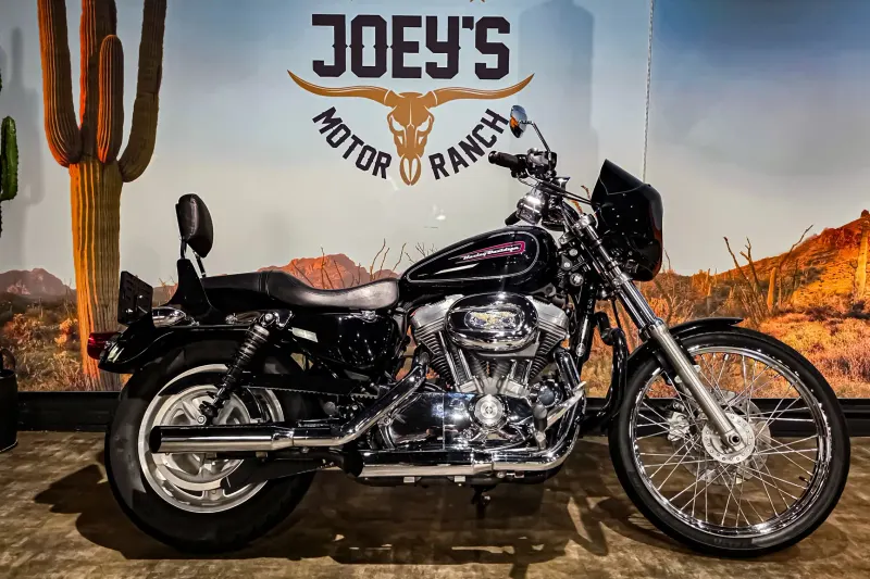Harley-Davidson Custom 883 Sportster (2010)