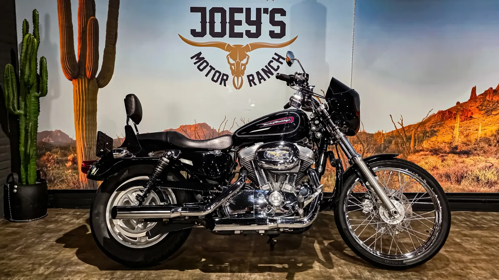 Harley-Davidson Sportster (2010) — foto 1