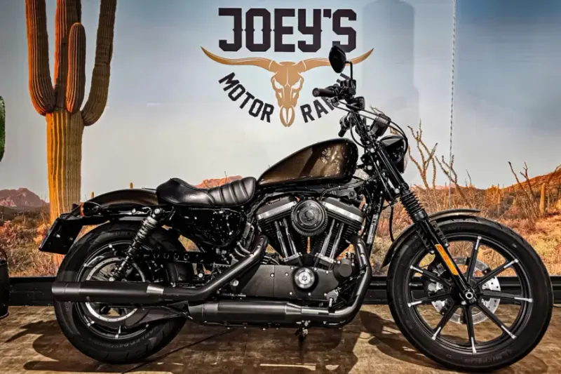 Harley-Davidson Iron 883 (2020)