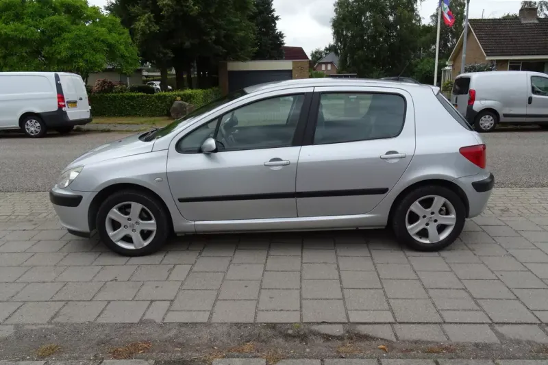 Peugeot 307 (2004)