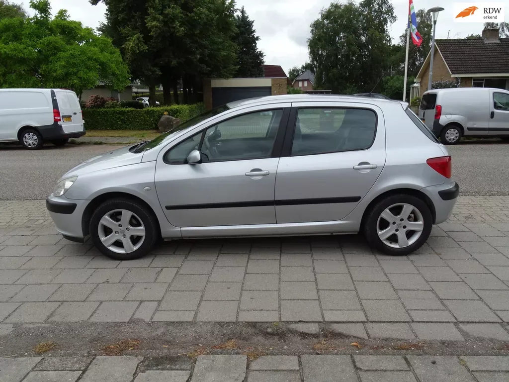 Peugeot 307 (2004) — foto 1