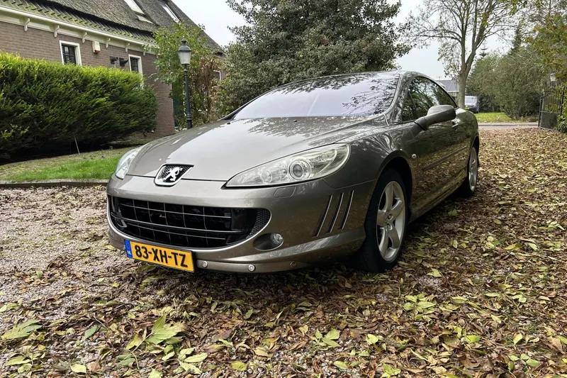 Peugeot 407 (2007)