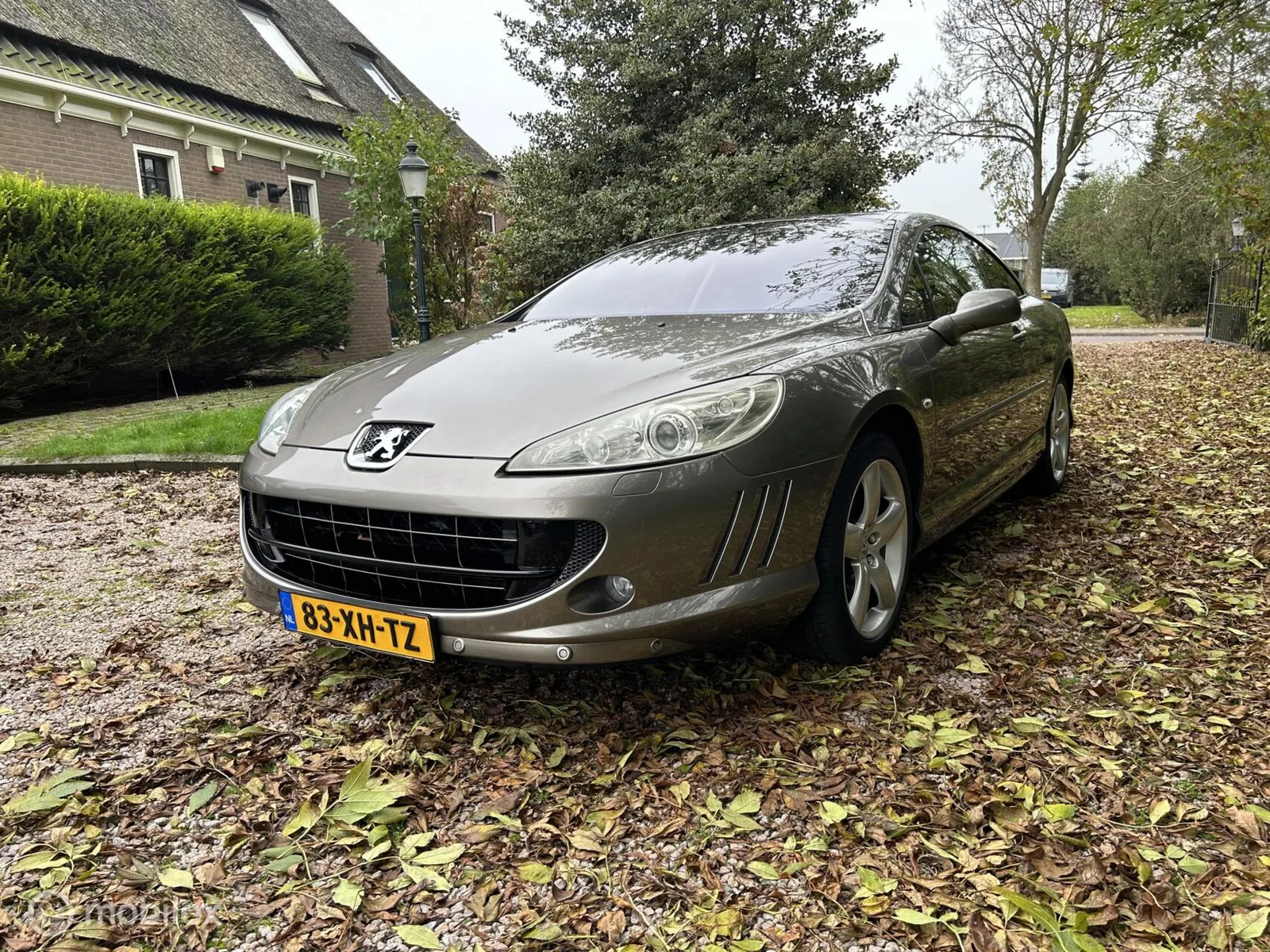Peugeot 407 (2007) — foto 1