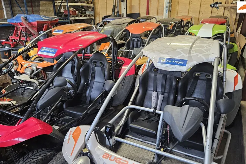 PGO Bugracer (2011)