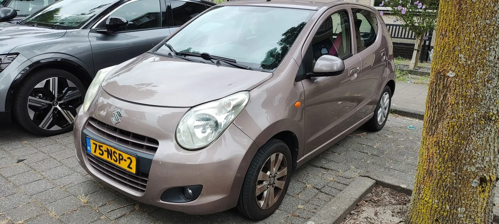 Suzuki Alto (2010) — foto 1