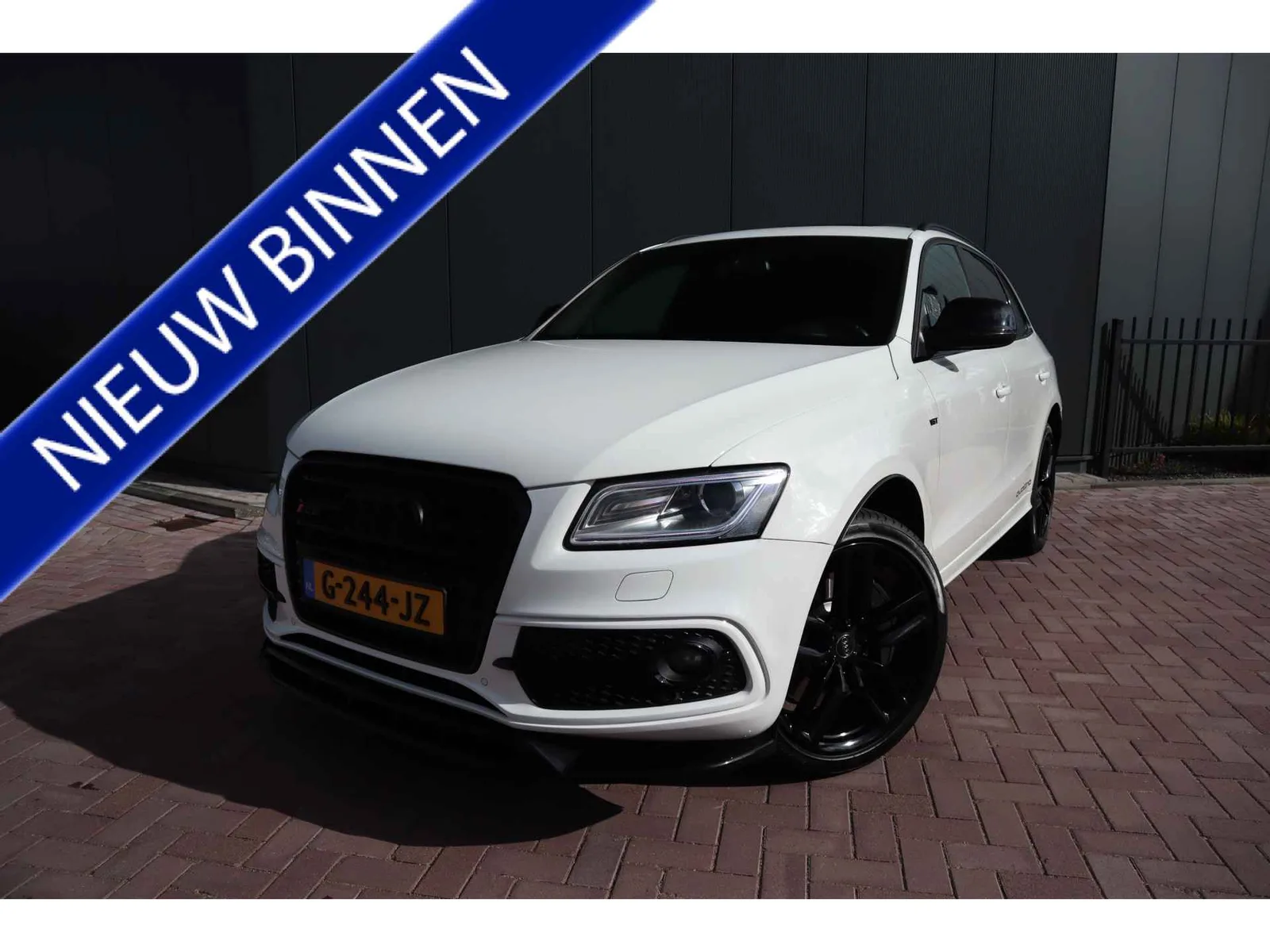 Audi SQ5 (2014) — foto 1