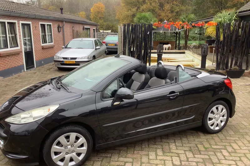 Peugeot 207 (2008)
