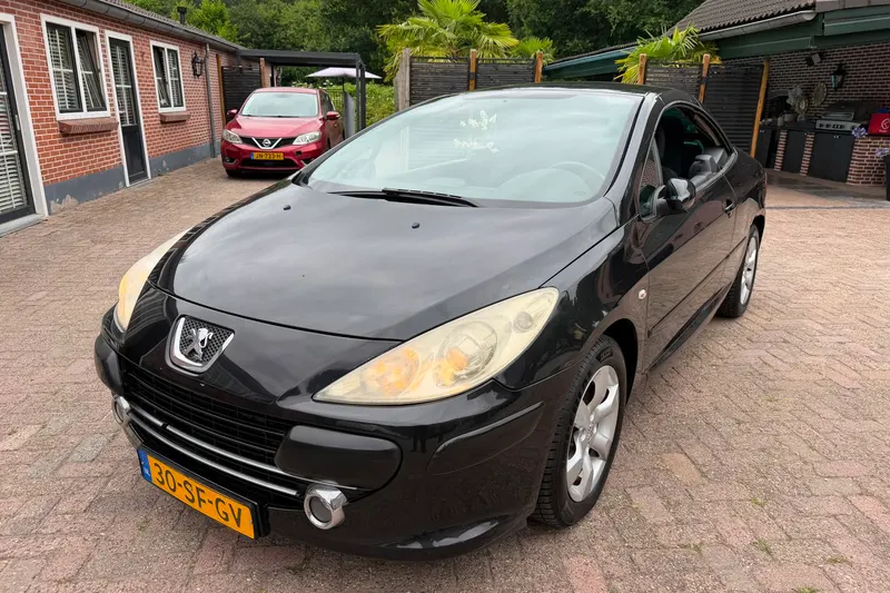 Peugeot 307 (2006)