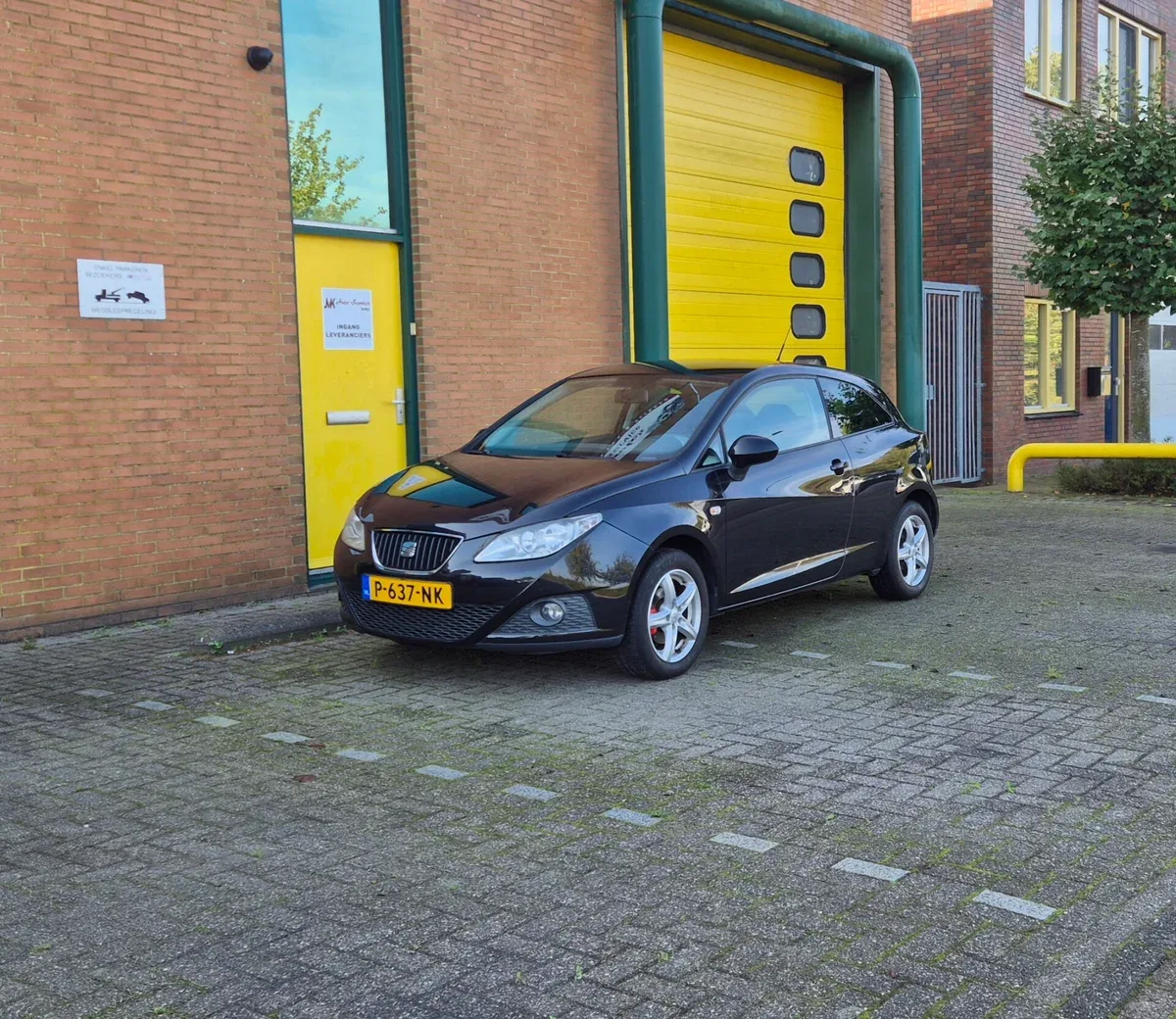 SEAT Ibiza (2009) — foto 1