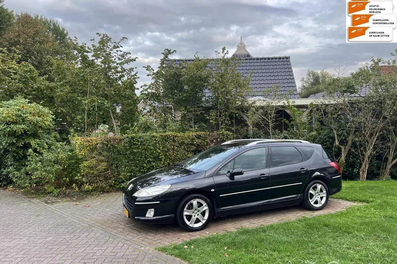 Peugeot 407 (2007)