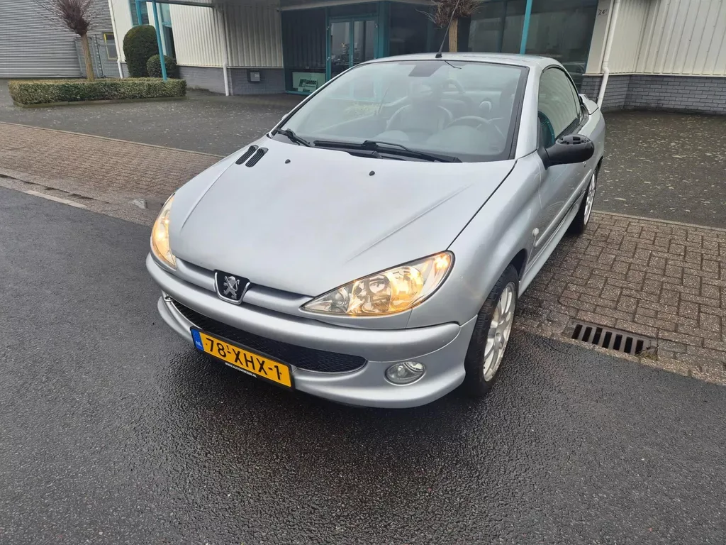 Peugeot 206 (2004) — foto 1