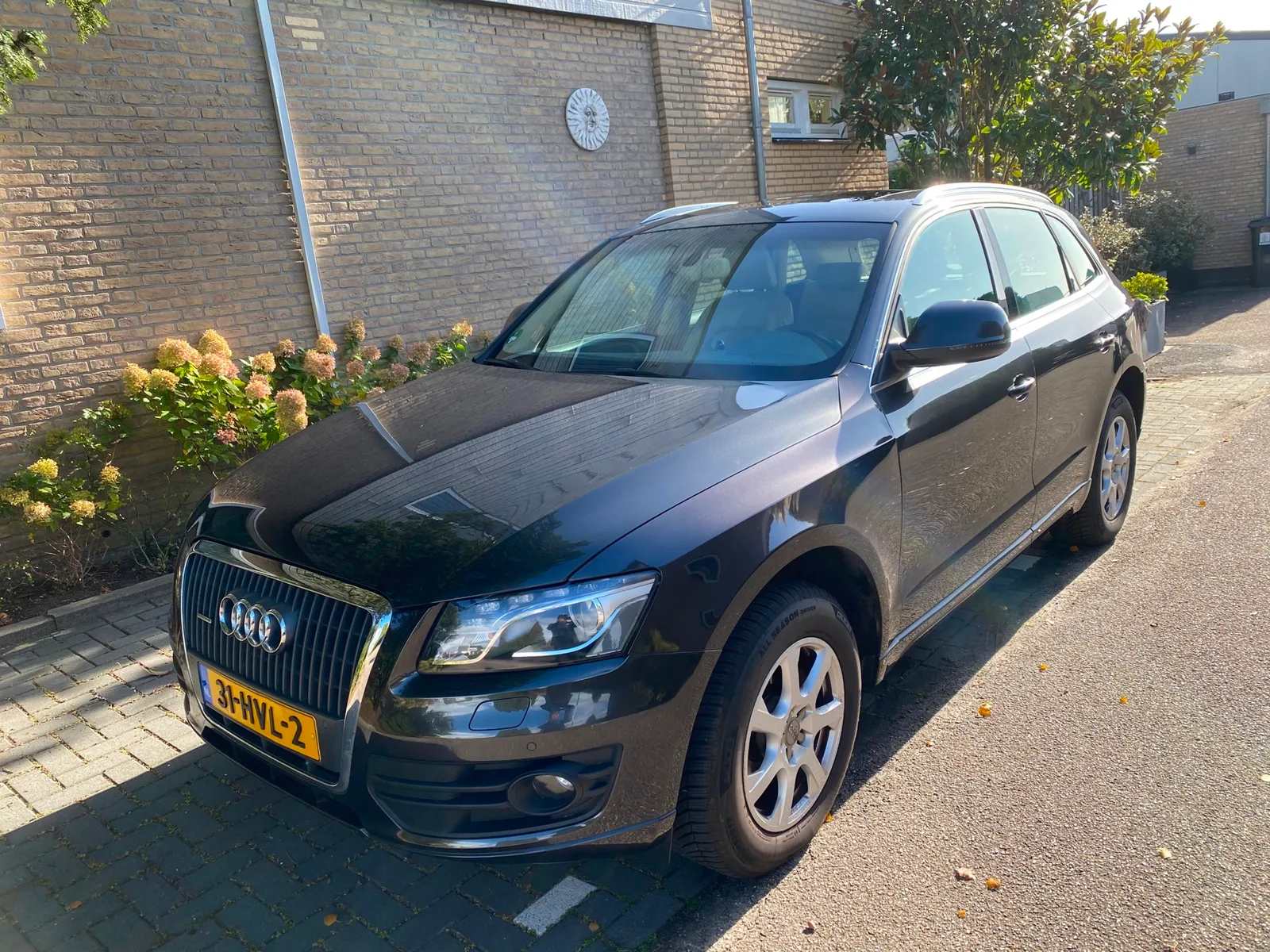 Audi Q5 (2009) — foto 1