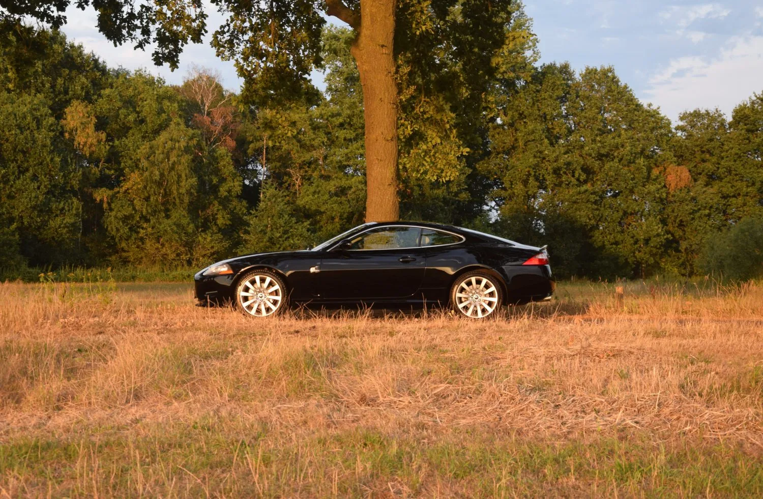 Jaguar XK (2008) — foto 1